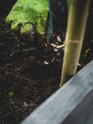 jonathan-kemper-wzYc-_TIk8o-unsplash
