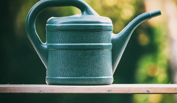 watering-can-5202988_1280