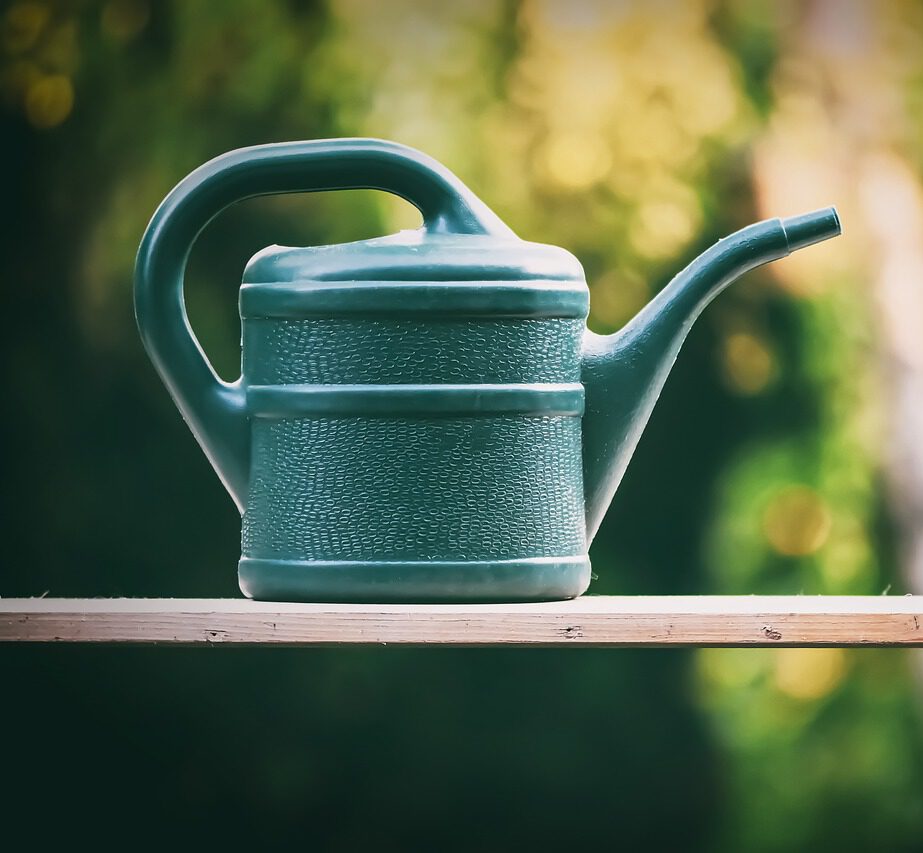 watering-can-5202988_1280